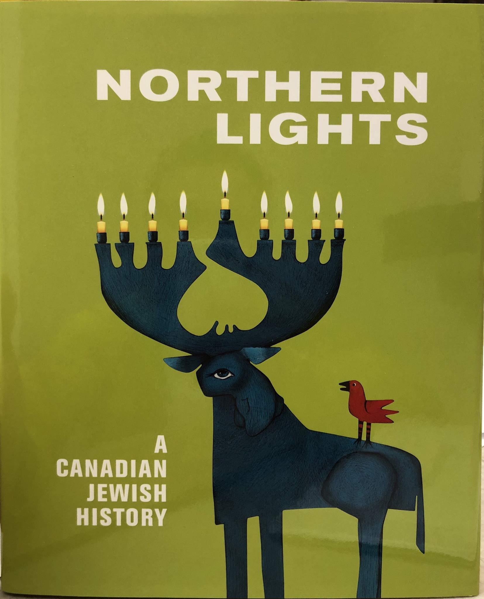 Northern Lights: A Canadian Jewish History Book - Explore Jewish Heritage & Immigration Stories in Canada | Perfect for History Enthusiasts & Cultural Studies