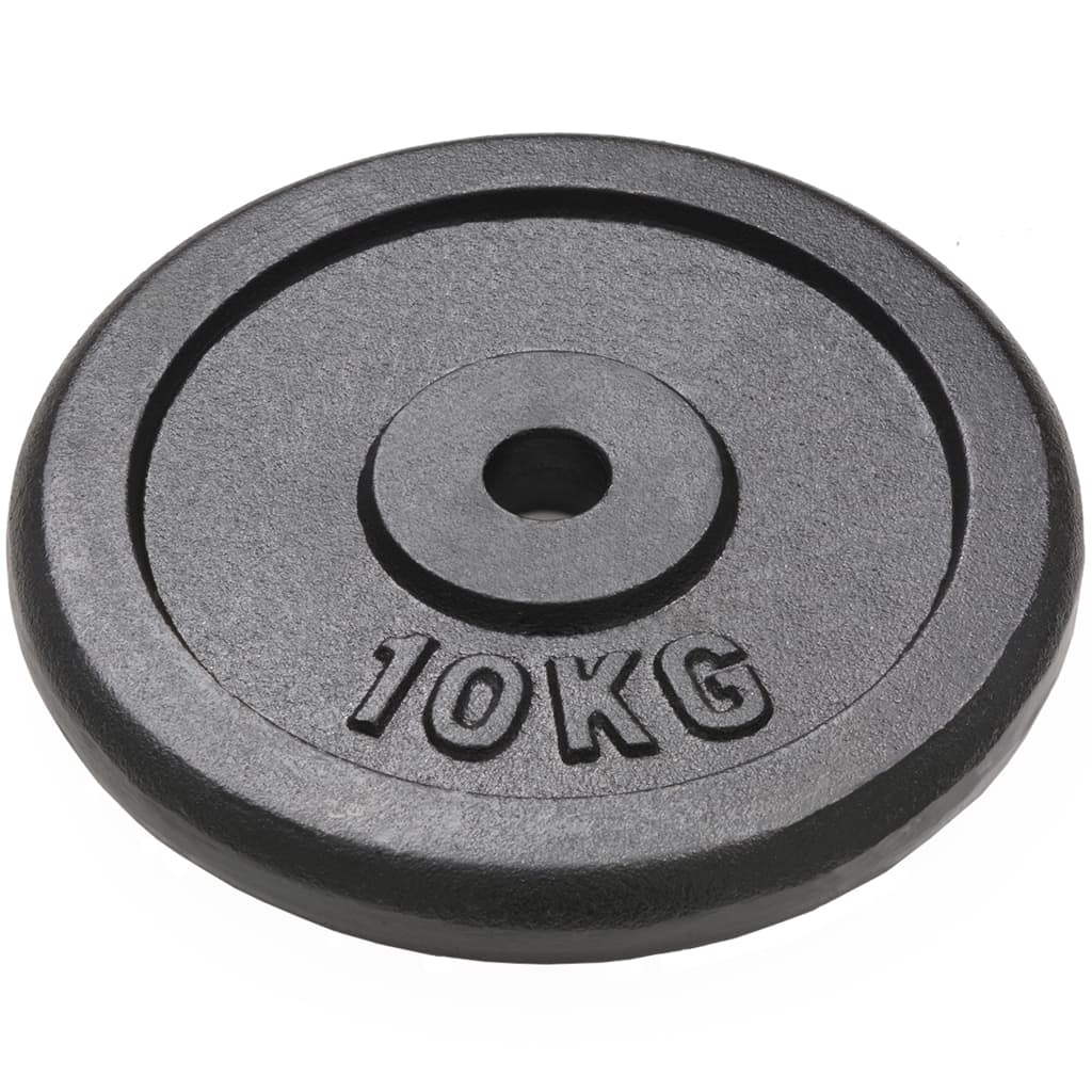 vidaXL 2-Pack 10 kg Cast Iron Weight Plates for Home Gym & Strength Training – Durable Fitness Equipment for Weightlifting, CrossFit, and Workout Routines