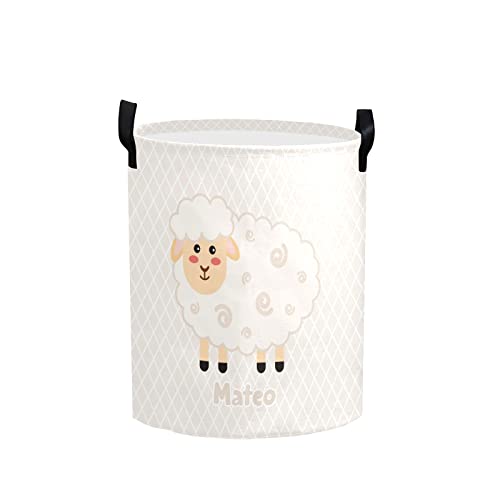 Hamper 6