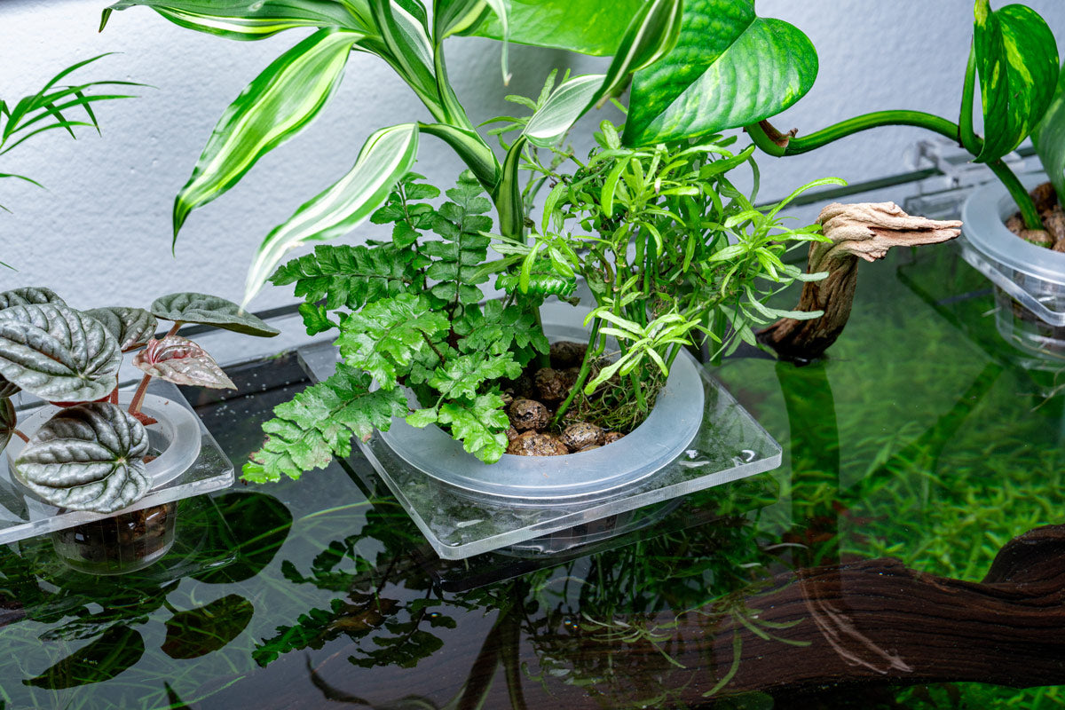 Best Hydroponic Planter Pot for Small Plants - Indoor Herb Garden Kit, Self-Watering Flower Pots for Windowsill, Kitchen, Office & Home Decor