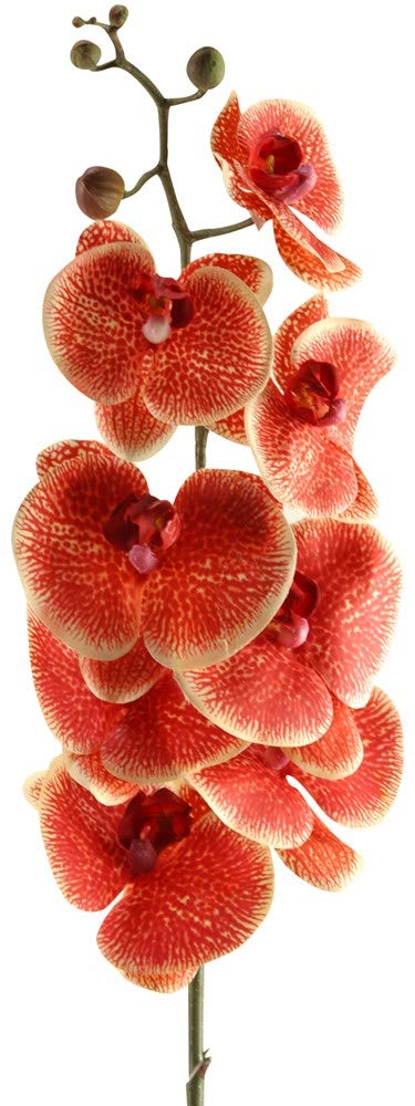 D & W Silks Premium Faux Flowers and Plants - Realistic Artificial Greenery for Home Decor, Wedding Centerpieces, Office & Indoor Decoration