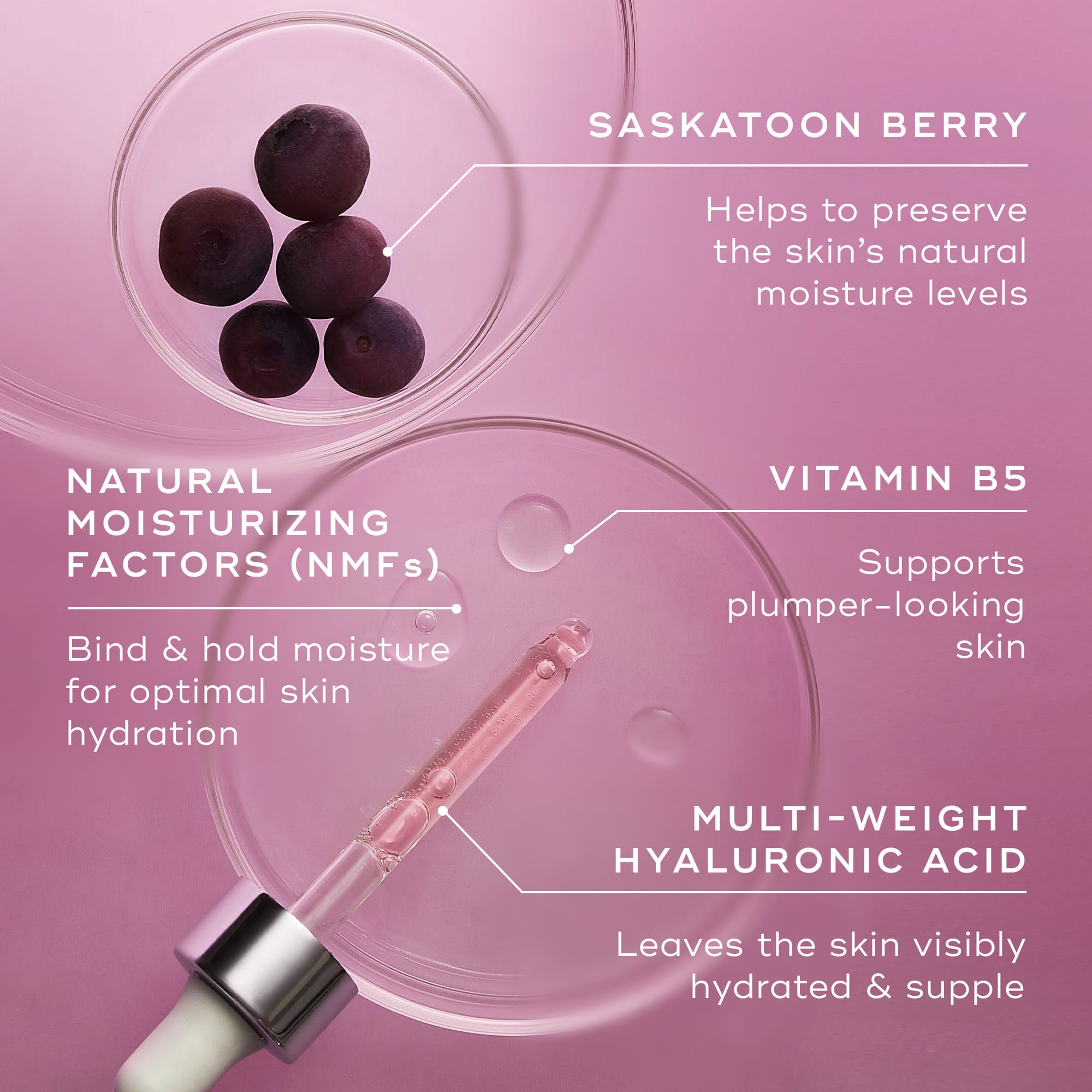 Hydr8 B5 Intense™ - Premium Hydrating Serum for Dry Skin | Vitamin B5 Skincare Treatment | Day & Night Moisturizer for Face & Body | Perfect for Winter Care & Post-Workout Hydration