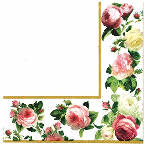 Rosy Frame