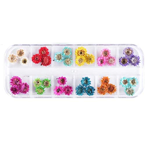 3D Floral Nail Stickers - Mix Dried Flowers for Manicure & Jewelry Making