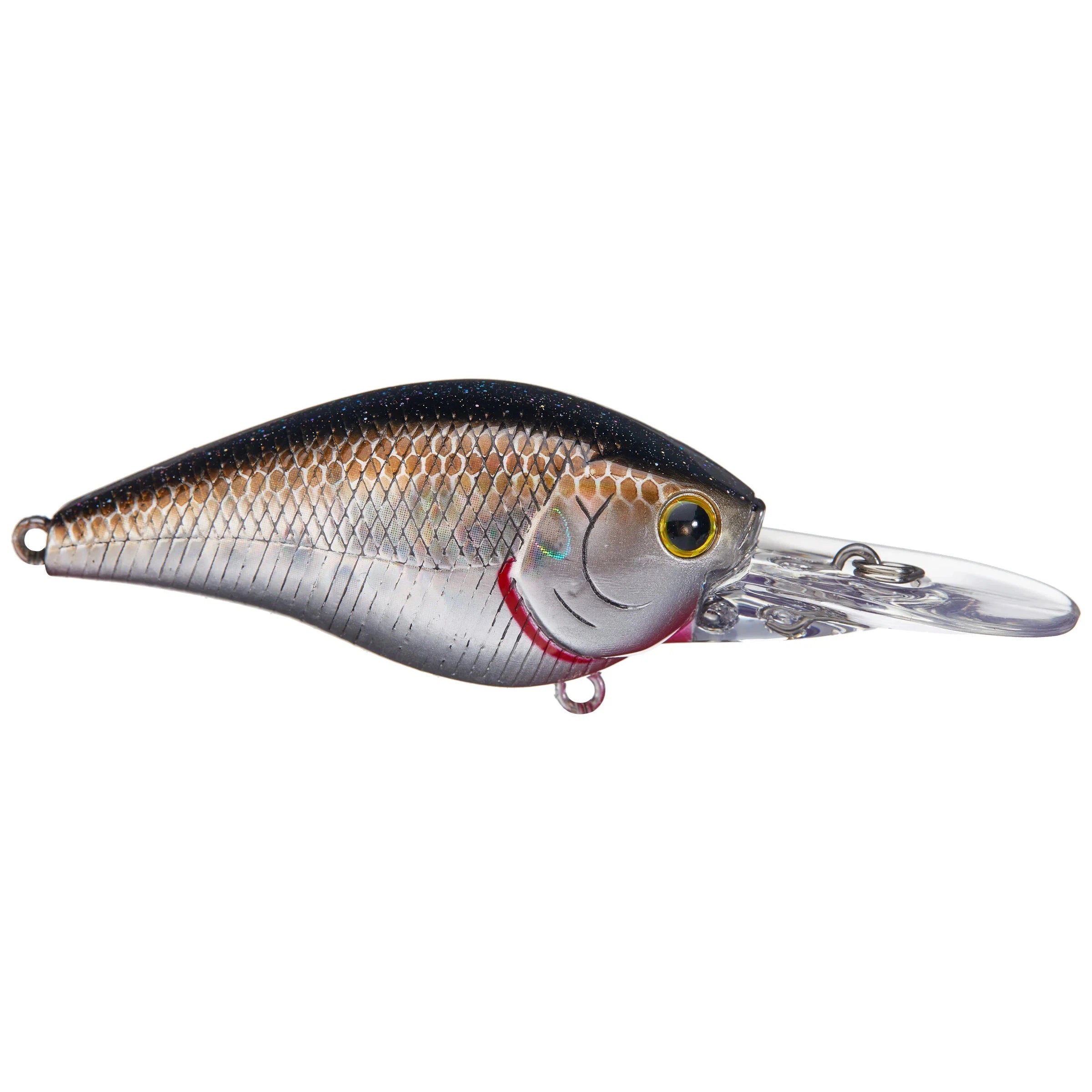 Chartreuse Shad