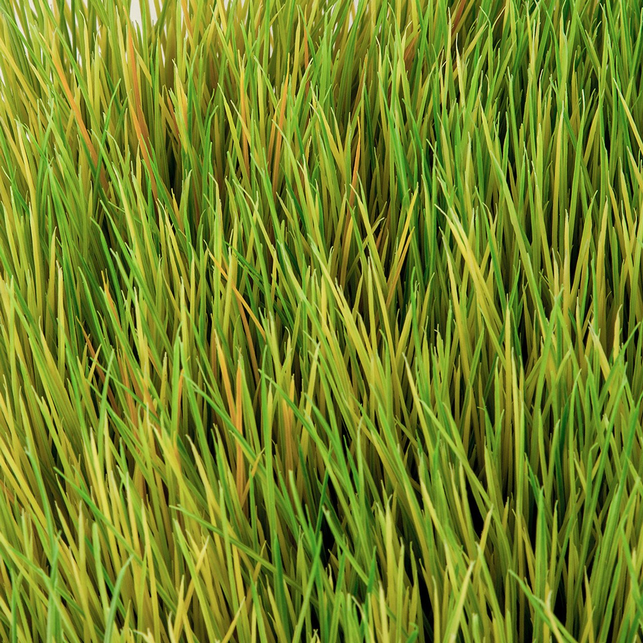 Premium 10x10x6 Inch Mexican Grass Artificial Turf Mat - Green/Tan (Pack of 6) - Perfect for Patio, Garden, Balcony & Outdoor Decor