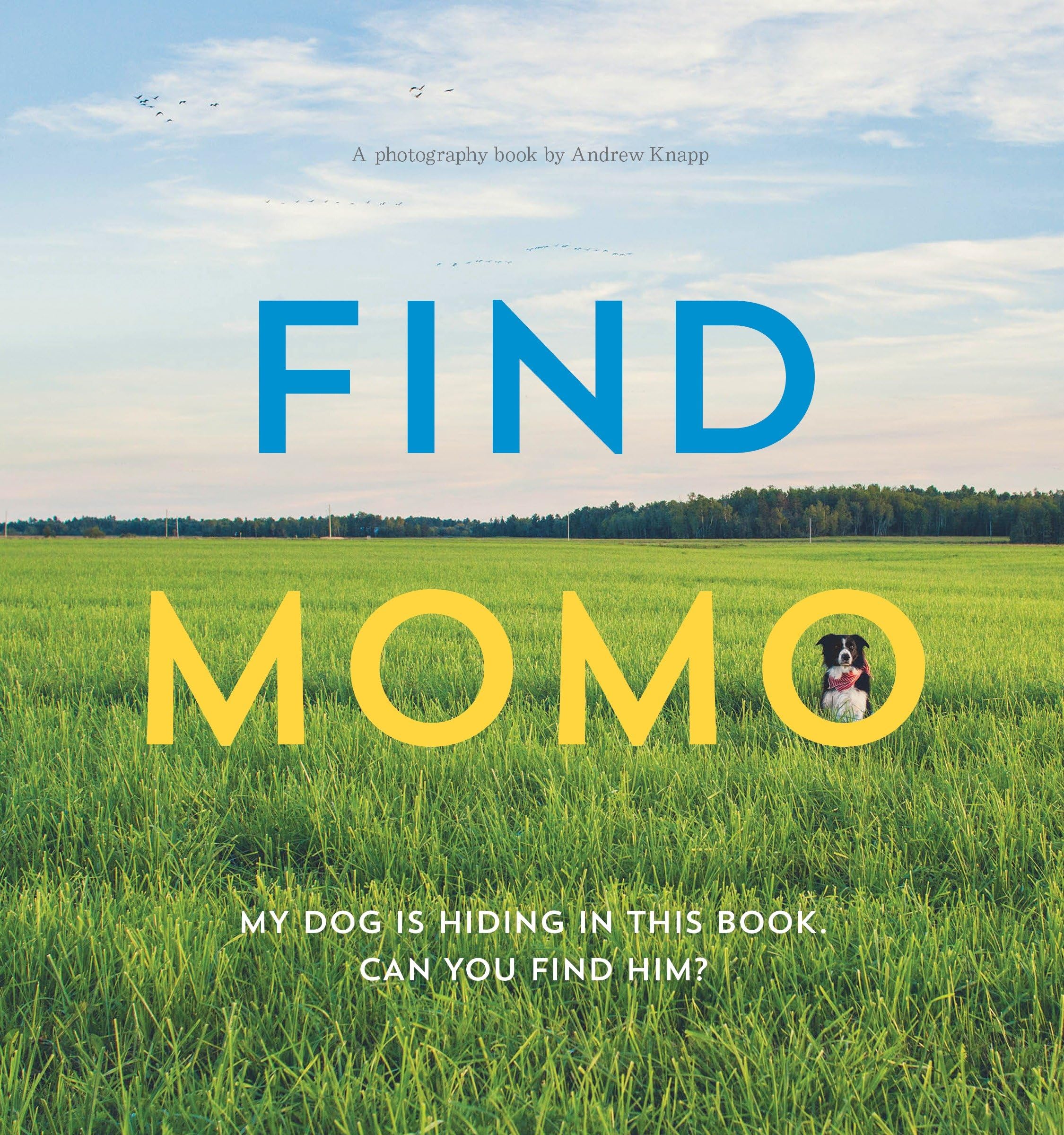 Find Momo: A Photography Book - Cute Dog Adventure for Kids & Adults | Perfect Gift for Pet Lovers & Photography Enthusiasts | Great for Family Reading & Coffee Table Decor