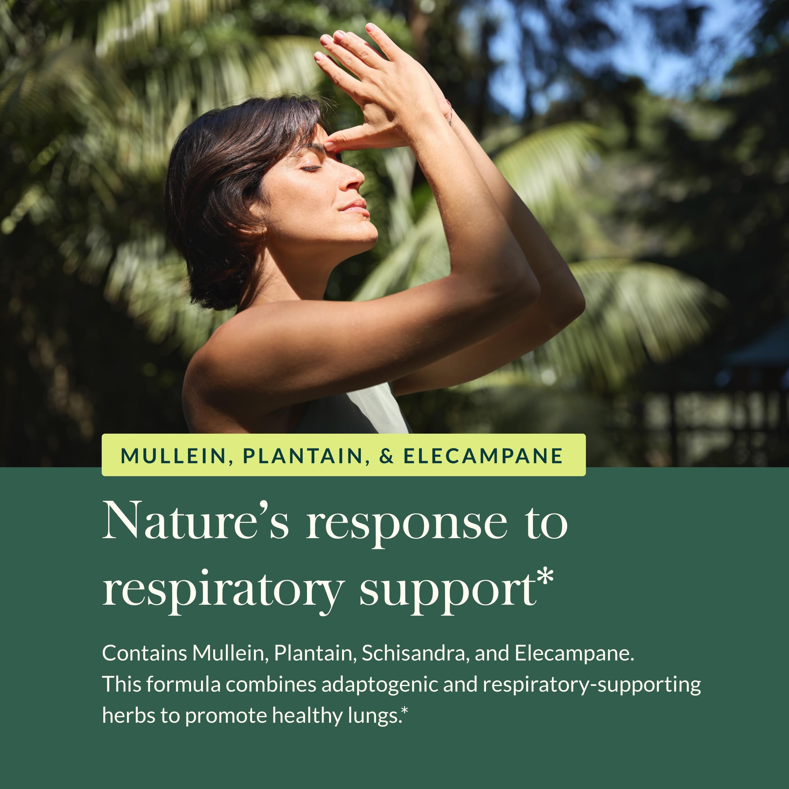 Gaia Herbs Mighty Lungs - Vegan Lung Support Supplement with Mullein, Plantain & Elecampane - 60 Liquid Phyto-Capsules (30-Day Supply) - Promotes Respiratory Health & Breathing Comfort - Ideal for Allergy Season, Smokers & Urban Living