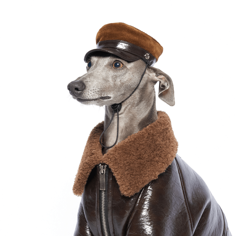 Woodland Dog Hat for Small Medium Large Dogs - Warm & Stylish Winter Pet Accessory for Outdoor Adventures & Photo Shoots