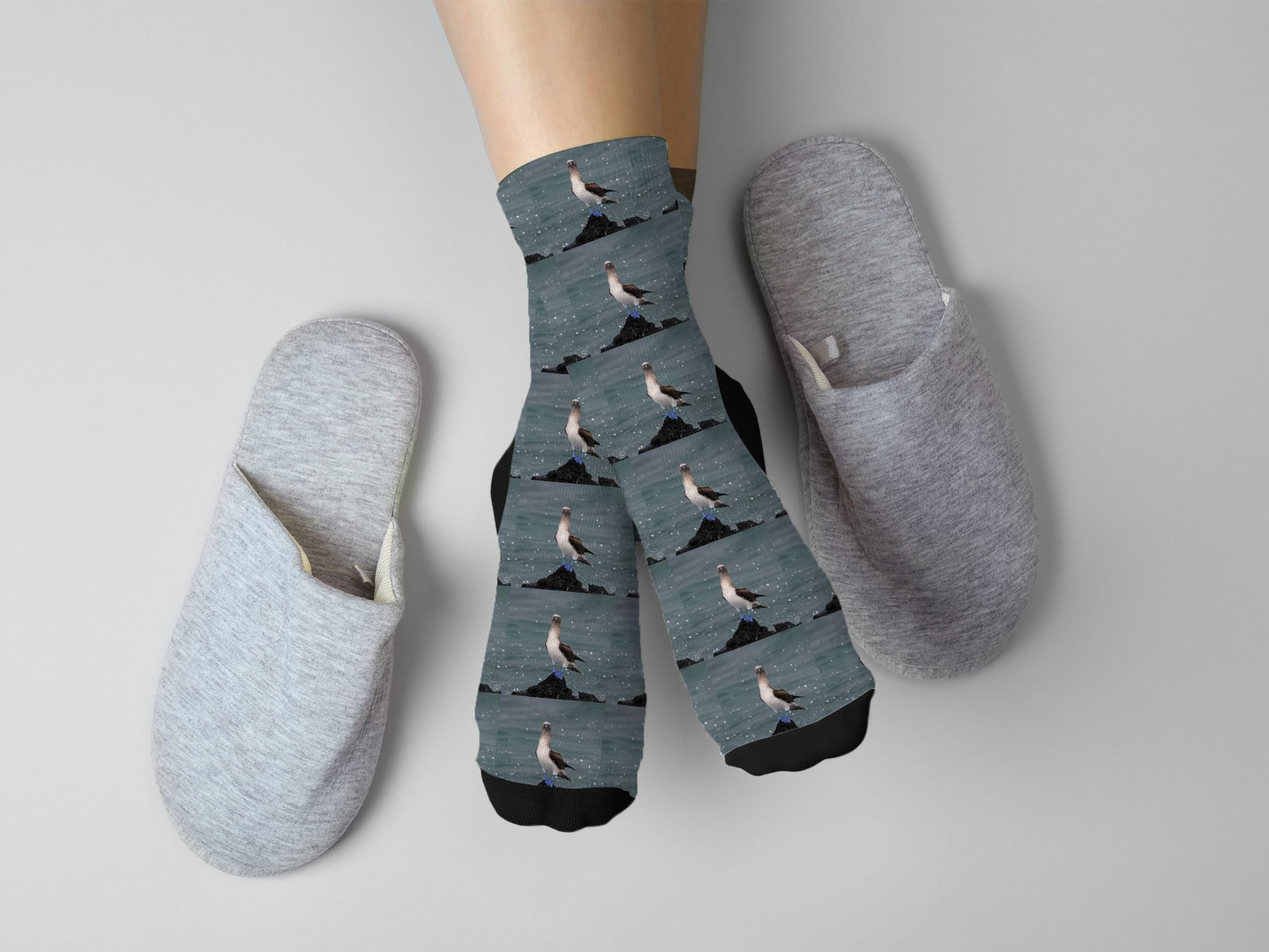 Blue Footed Booby Socks - Fun Galapagos Islands Novelty Socks with Sula Nebouxii Design | Perfect for Bird Lovers, Travel Enthusiasts & Unique Gift Ideas