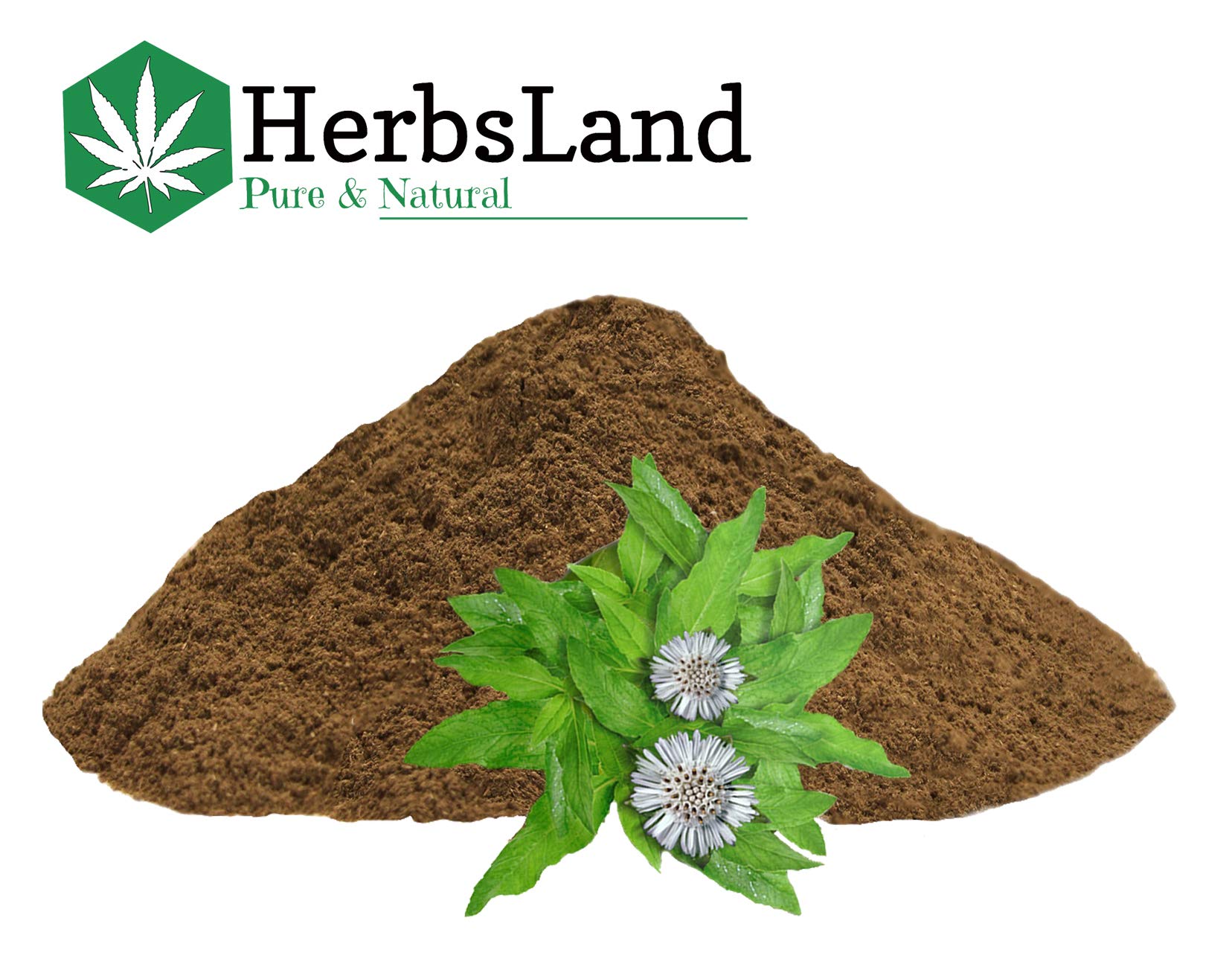 HerbsLand® Pure Bio Organic Amla Reetha Bhringraj Henna Leaf Powder - Natural Hair Growth & Anti-Dandruff Treatment | Face & Skin Care | Chemical-Free Shampoo Alternative (125g & 500g) | Perfect for DIY Hair Masks, Scalp Treatments & Natural Beauty Regimens