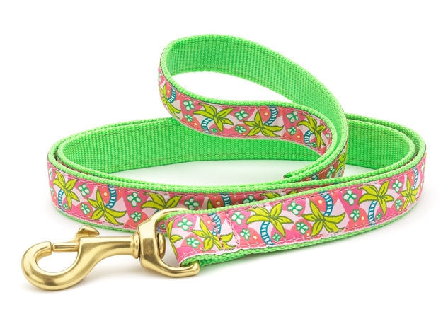 UpCountry Pink Palms Lead - Premium Dog Leash for Small & Medium Dogs, Durable & Comfortable for Daily Walks, Training, and Outdoor Adventures