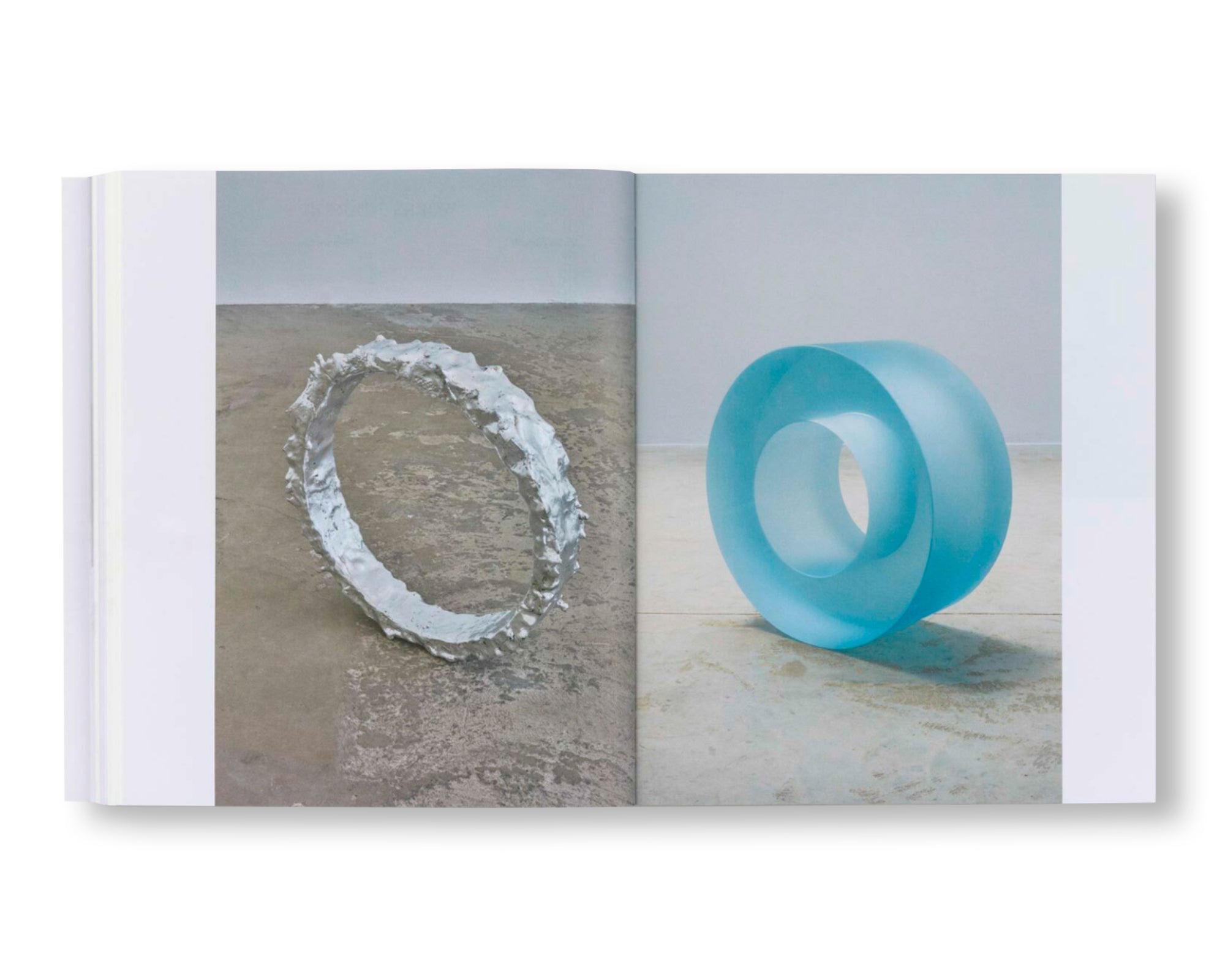 ANN VERONICA JANSSENS & MICHEL FRANÇOIS Art Book - Contemporary Art Collection by Ann Veronica Janssens and Michel François - Perfect for Art Lovers, Collectors and Museum Visitors