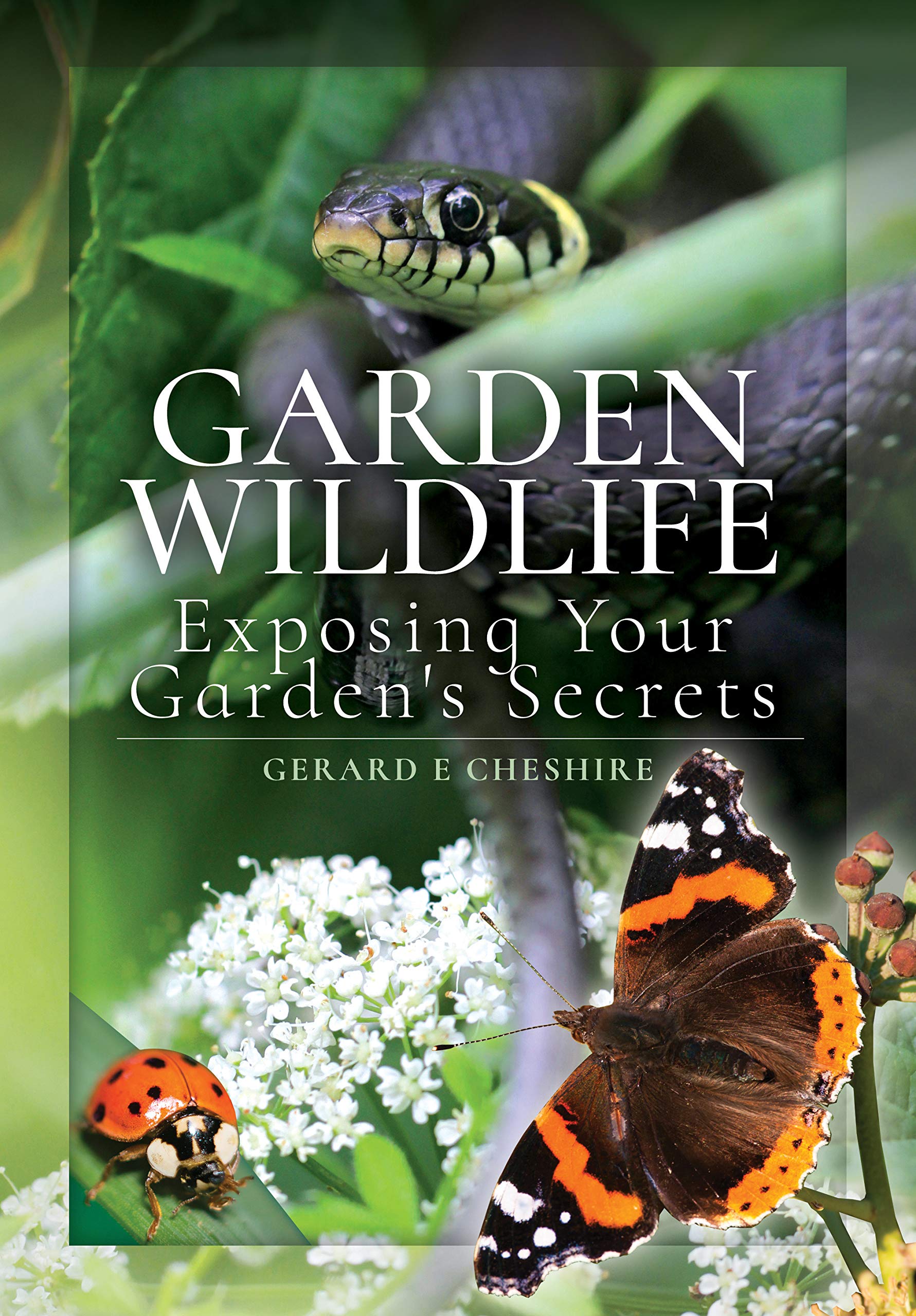 Garden Wildlife Camera: Discover Hidden Animals & Nature Secrets in Your Backyard – Perfect for Bird Watching, Wildlife Monitoring & Outdoor Exploration