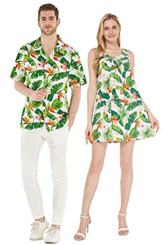 Bird of Paradise