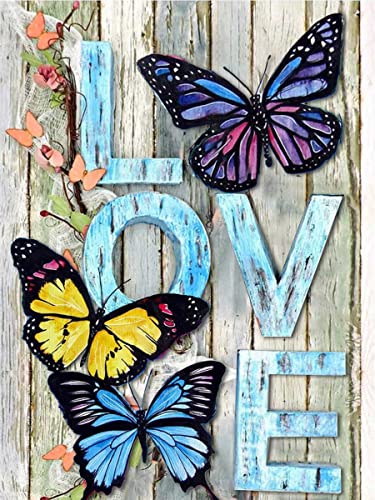 Butterfly-2