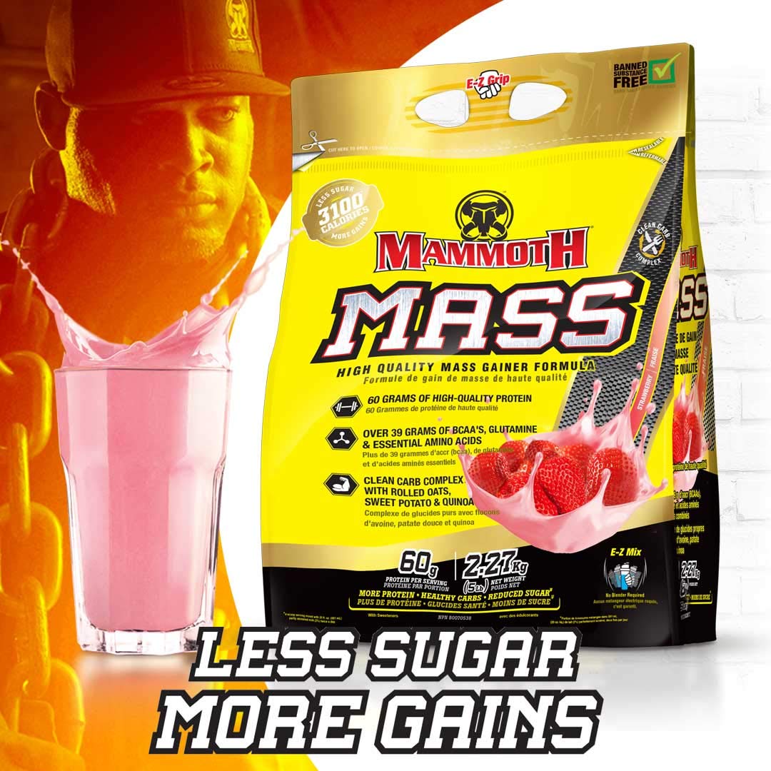Mammoth Mass Weight Gainer Protein Powder - High Calorie Muscle Building Shake with Whey Isolate & Casein Blend, Low Sugar Meal Replacement for Bodybuilding & Workout Recovery (Strawberry Flavor, 5lb) - Perfect for Post-Workout Smoothies, Muscle Growth Nutrition & Healthy Weight Gain