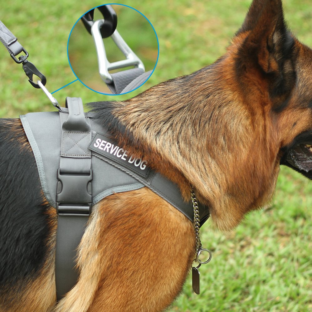 EXCELLENT ELITE SPANKER Tactical Dog Harness - Military Patrol No-Pull Service Vest for Medium & Large Dogs - Adjustable Training Working Vest with Handle (Grey, XL) - Perfect for Police K9, Search & Rescue, and Outdoor Adventures