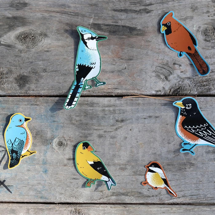 Bird Collective Backyard Birds Jumbo Sticker Pack - 50+ Vibrant Waterproof Decals for Laptops, Water Bottles & DIY Crafts - Perfect for Nature Lovers, Scrapbooking & Outdoor Gear Decoration