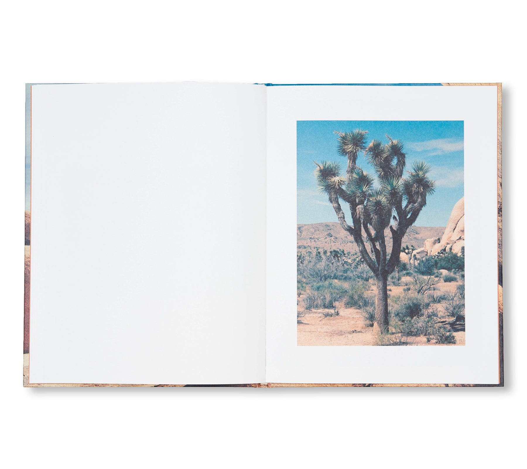 NO WATER by Romain Laprade - Special Edition Art Book | Photography Collection | Home Decor & Coffee Table Book for Art Lovers