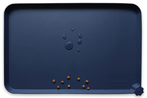 French Navy