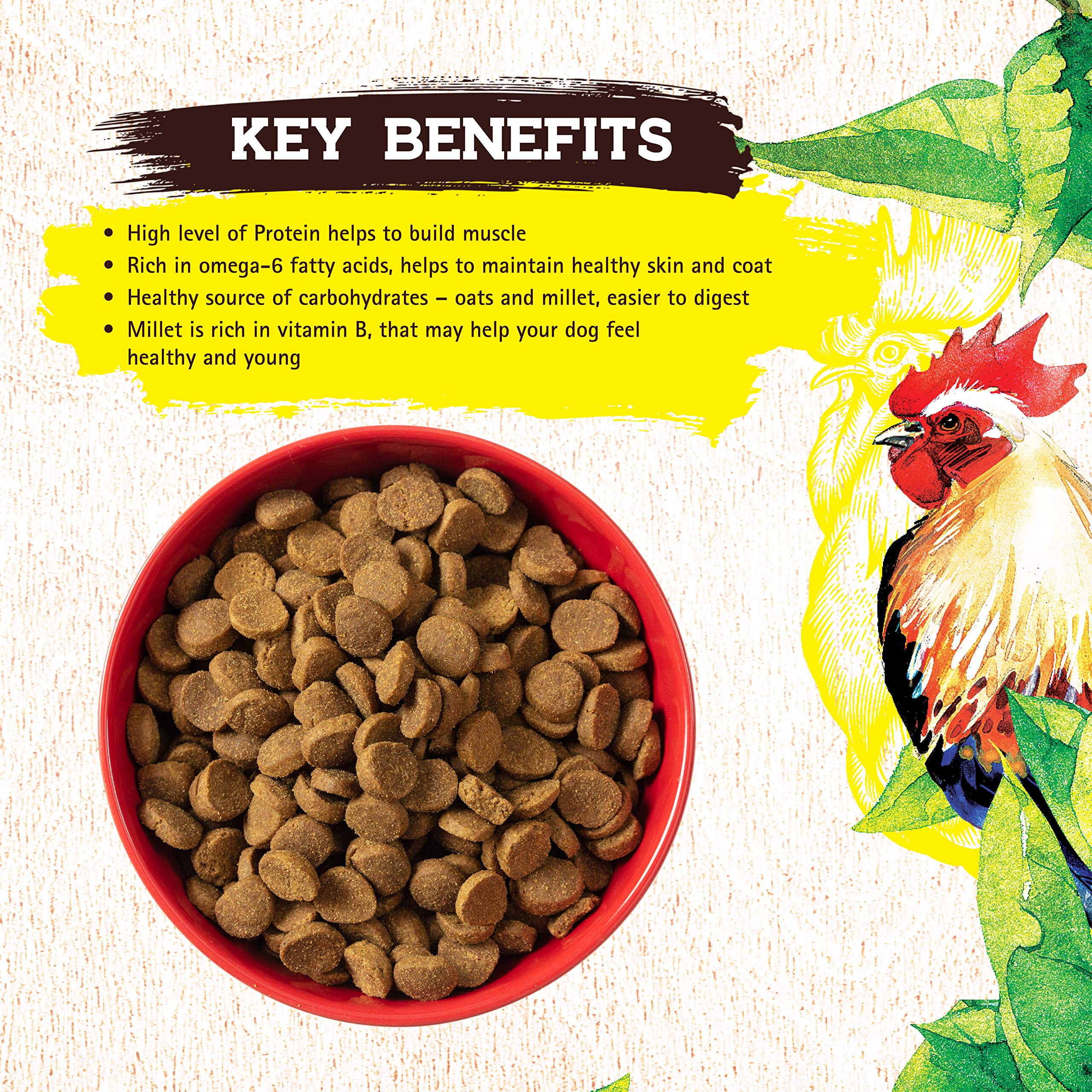 Inception® Dry Dog Food Chicken Recipe – Complete & Balanced Grain-Free Dog Food – High Protein, Legume-Free Kibble for All Life Stages – 13.5 lb Bag – Perfect for Adult Dogs & Puppies with Sensitive Stomachs
