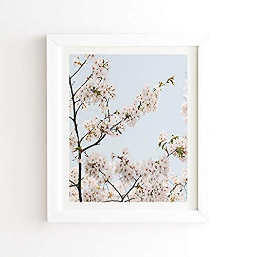 Cherry Blossoms in Seoul