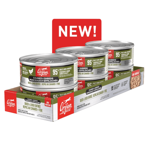 Orijen Duck & Chicken Chunks & Shreds Entrée Canned Cat Food - Grain Free, High Protein Wet Cat Food for Adult Cats - 5.5oz Can (Pack of 12) - Perfect for Picky Eaters & Mealtime Enrichment