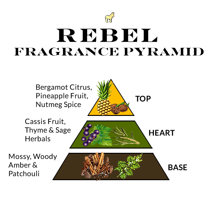 Luxury Fragrance Deluxe Size Samples Set or Singles - Perfect for Travel, Gifting & Scent Discovery