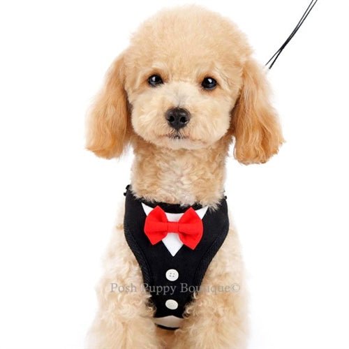 EasyGO Adjustable Step-in Dog Harness with Bowtie - Perfect for Small & Medium Dogs, Walking, Training & Outdoor Adventures