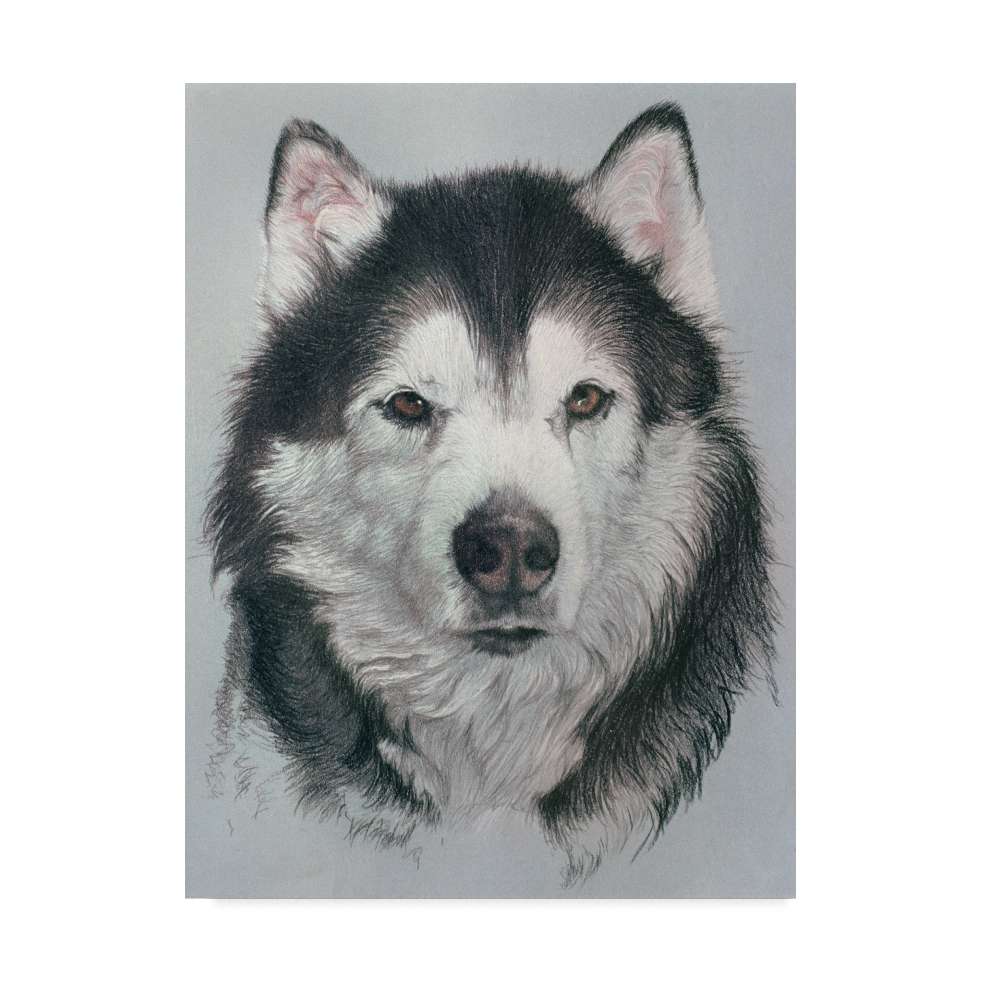 Rusty Frentner Husky Dog Wall Art - 35x47 Inch Canvas Painting - Perfect for Living Room, Bedroom & Office Decor