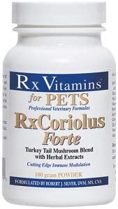 Rx Vitamins RxCoriolus Forte Mushroom Supplement - 100g | Immune System Support & Natural Wellness Boost | Perfect for Daily Health Maintenance & Immune Defense