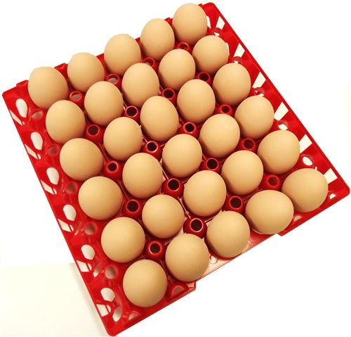 96 Pack of Rite Farm 30-Count Chicken Egg Plastic Trays - Durable Egg Cartons for Poultry Farms, Farmers Markets & Home Chicken Coops