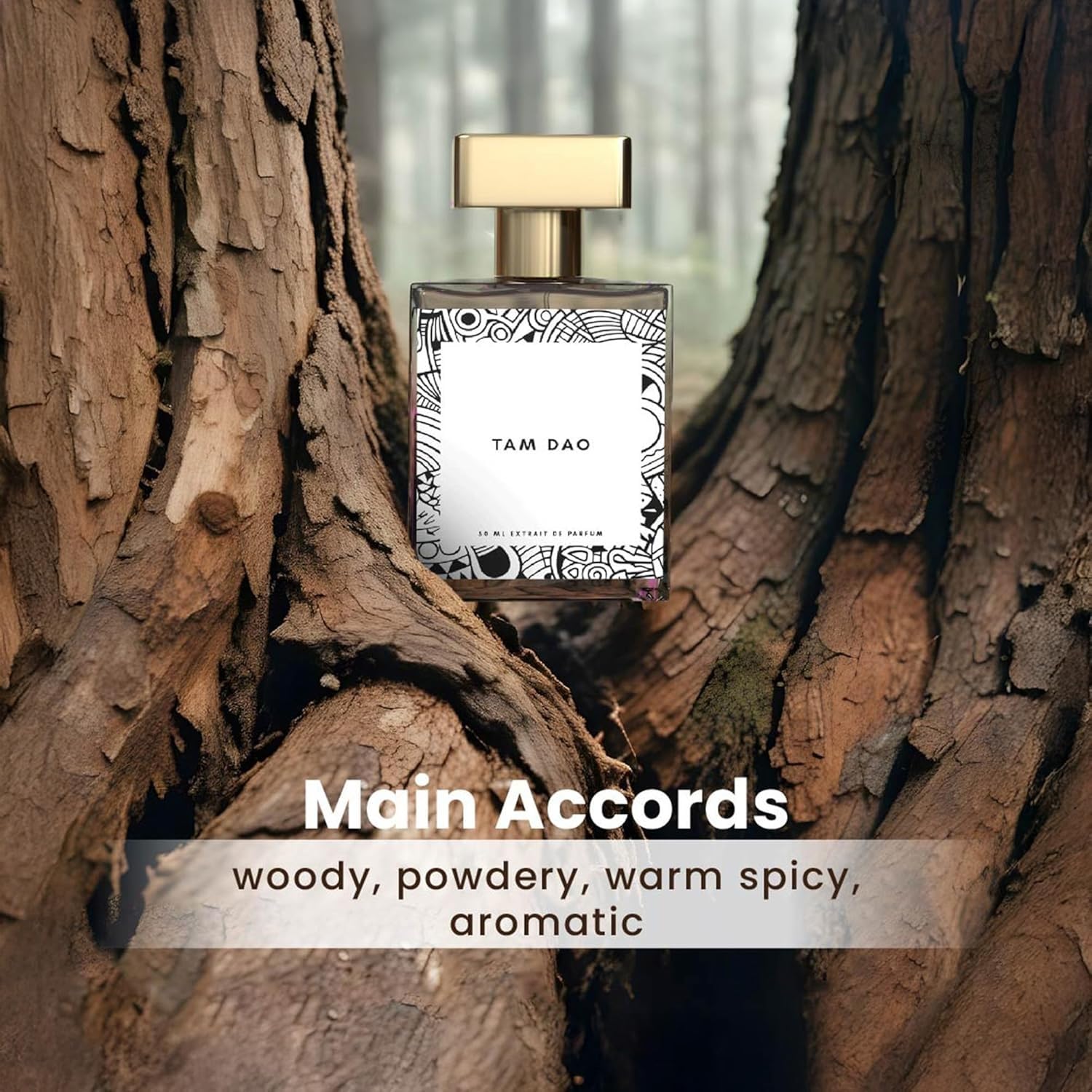 MG Perfume Tam Dao for Men - Long Lasting Woody & Amber Fragrance with Sandalwood, Lime & Aromatic Notes - 50ml (1.69 fl oz) Eau de Parfum | Perfect for Daily Wear, Office & Special Occasions