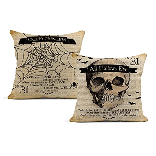 Skull and Spider