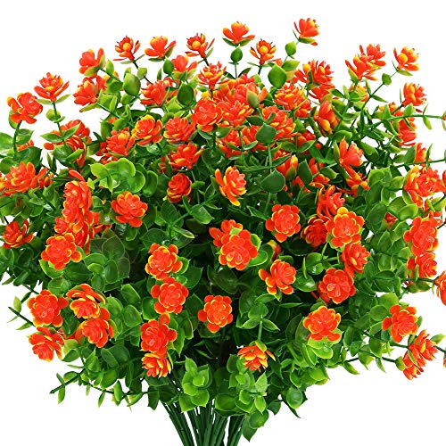 Orange Red