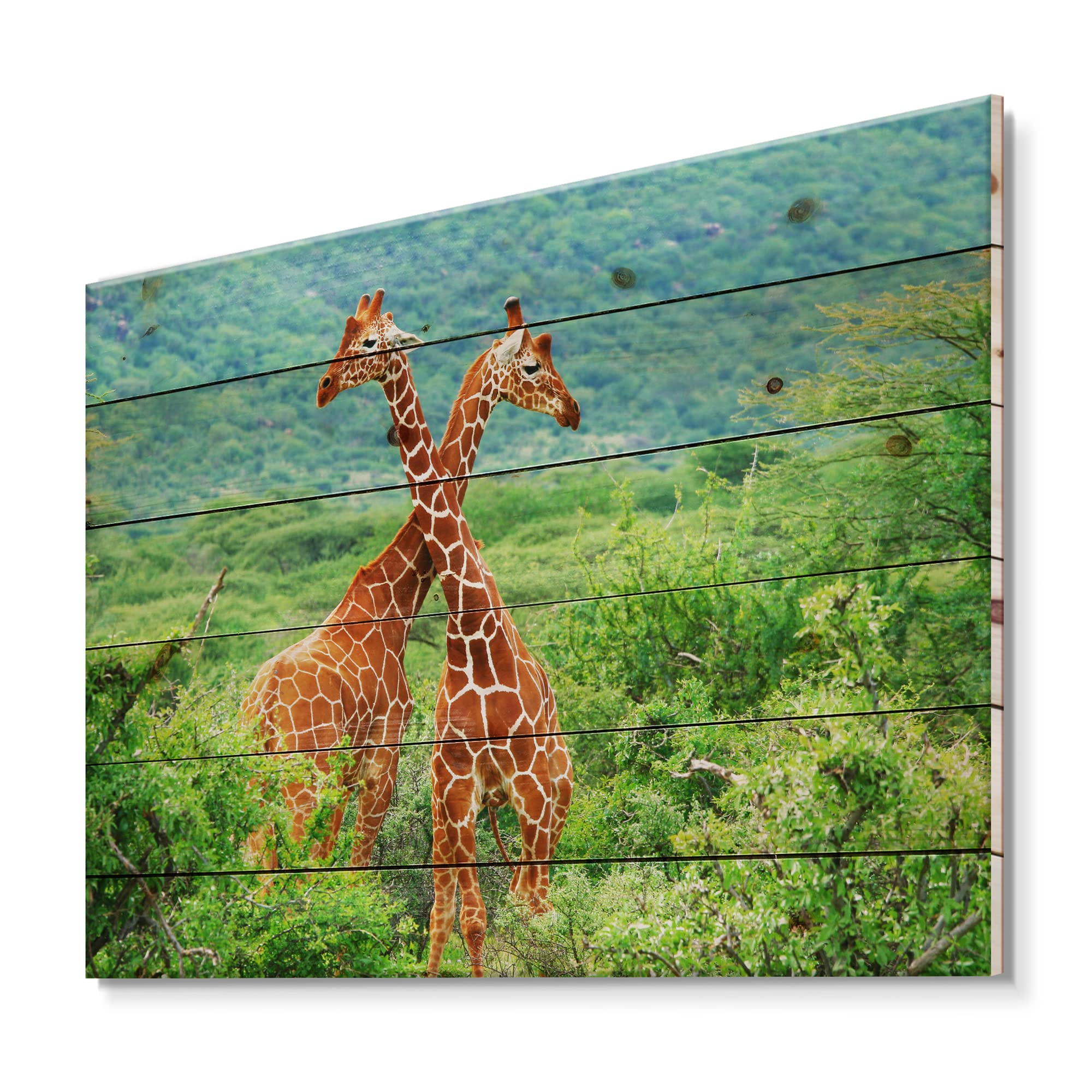 DesignQ Two Giraffes Fighting on Green Farmhouse Wood Wall Art - Large Animal Wall Decor Printed on Natural Pine Wood - Perfect for Living Room, Nursery, or Office Decoration
