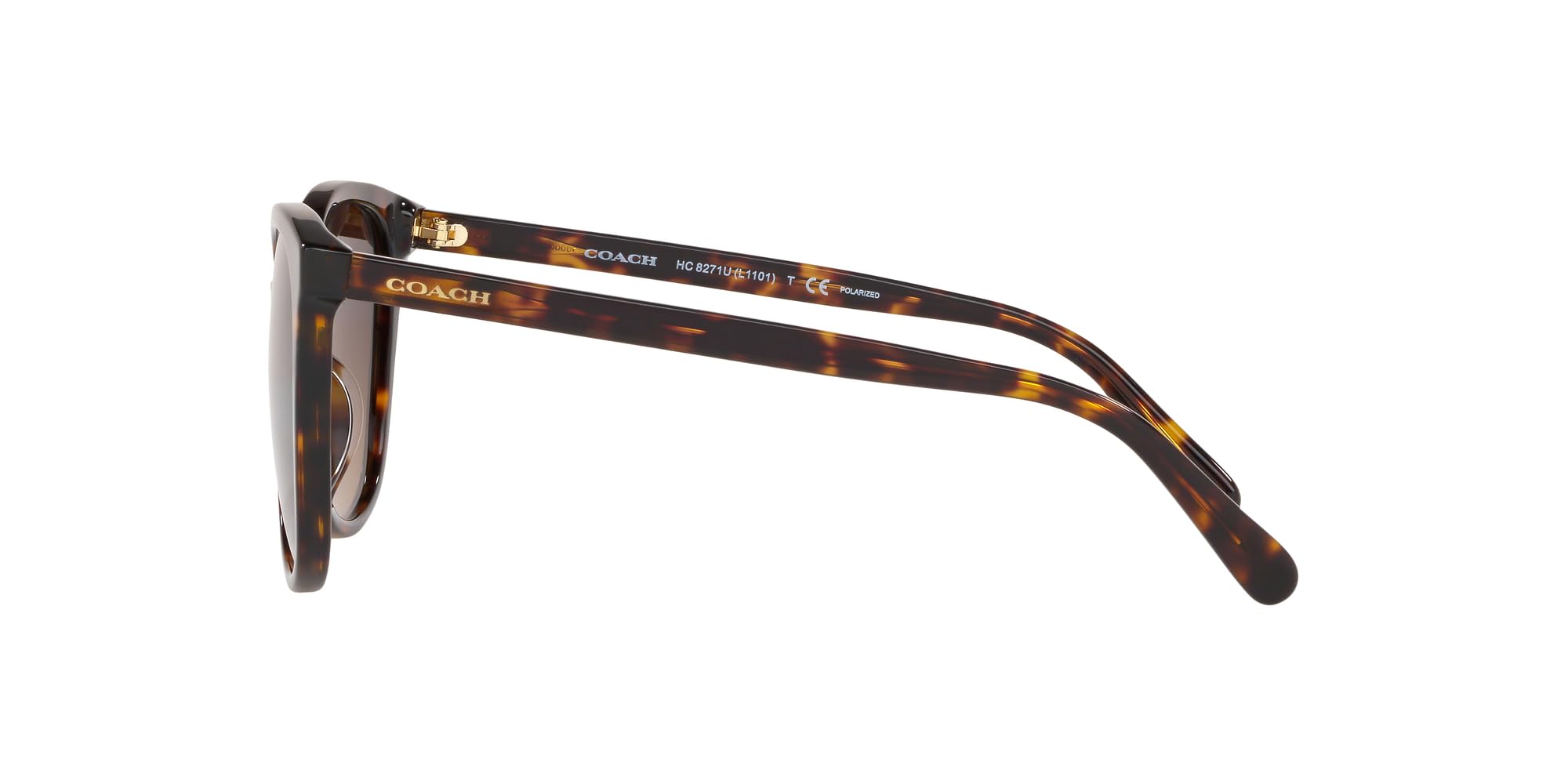 COACH Women's HC8271u Square Sunglasses - UV Protection, Polarized, Lightweight & Stylish for Outdoor, Driving, Beach & Fashion Accessories