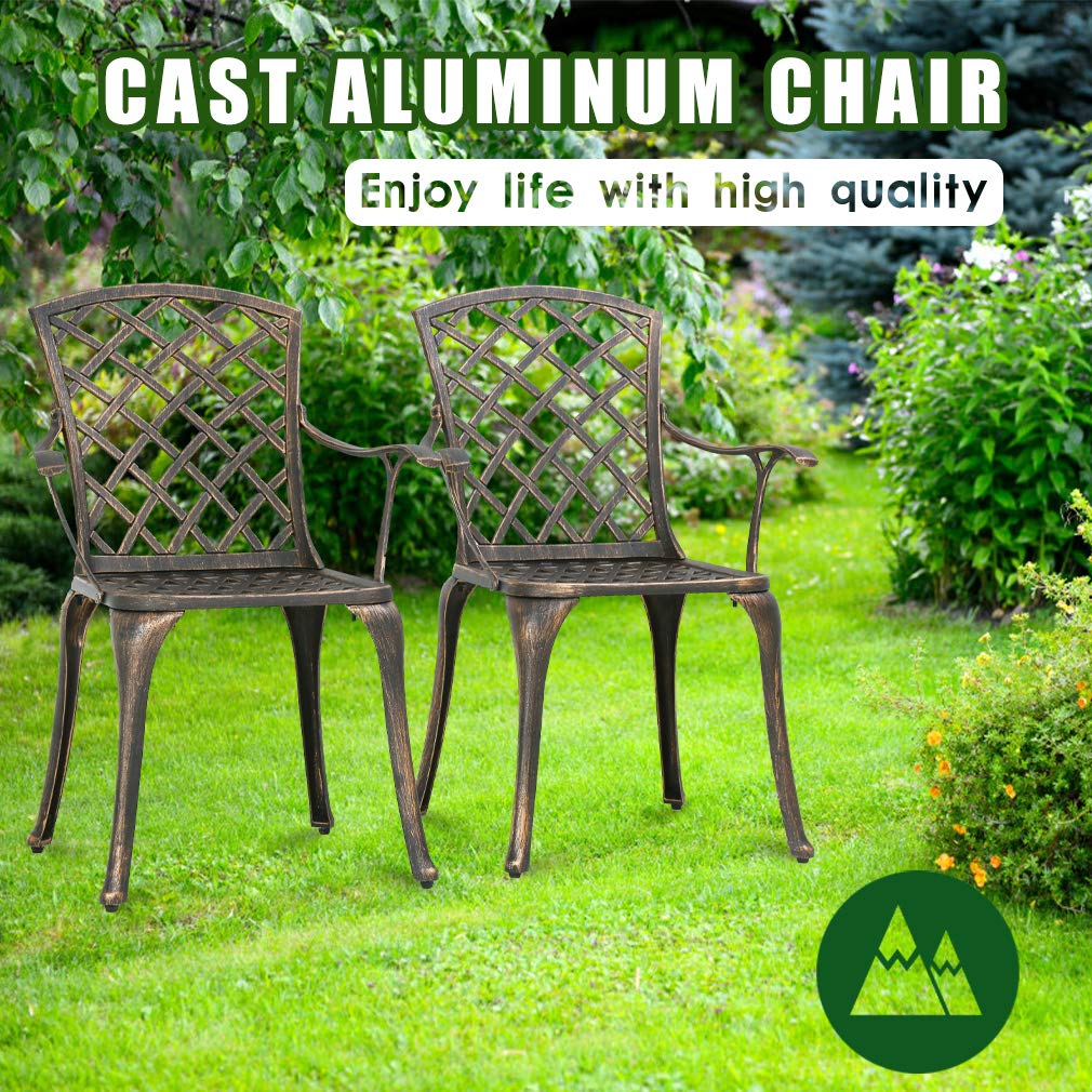 FDW Patio Chairs Set of 2 - Wrought Iron Outdoor Dining Chairs, Weather-Resistant Patio Furniture for Garden, Deck, Poolside & Backyard Relaxation
