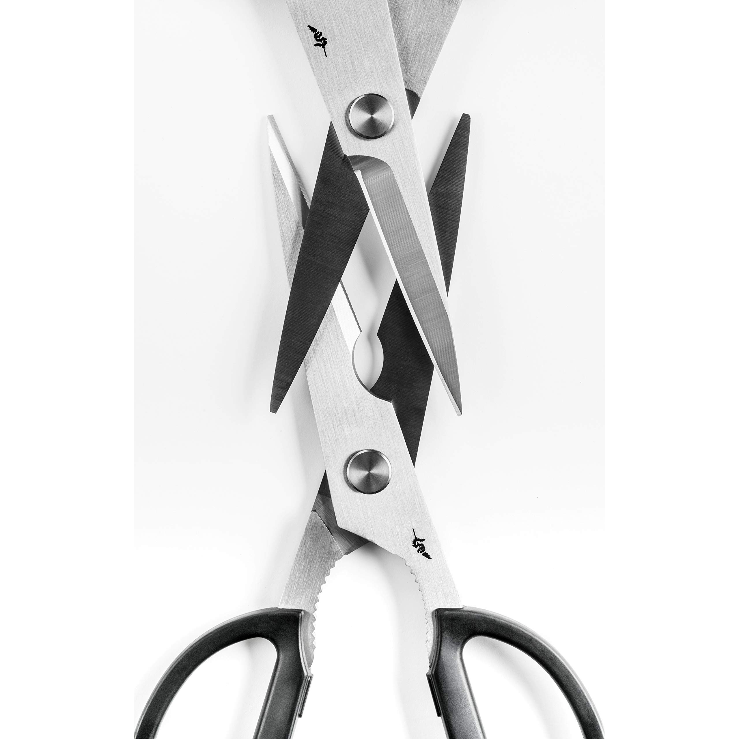 Michel BRAS No. 2 Professional Kitchen Shears - Heavy Duty Stainless Steel Cooking Scissors with Micro Serrated Detachable Blades - Easy to Clean - Perfect for Cutting Herbs, Poultry, Fish & Vegetables - Ideal for Home Chefs & Professional Kitchens