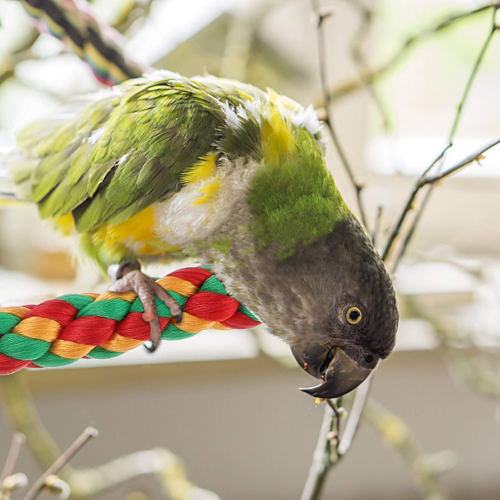 iplusmile Natural Cotton Parrot Chewing Toy - 2pcs Bird Rope Perch & Swing for Cage (30cm + 55cm) - Safe Teething Toys for Parrots, Cockatiels, Lovebirds - Perfect for Climbing, Chewing & Playtime Activities
