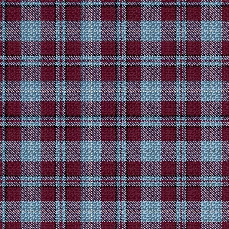Ferguson Modern Tartan Plaid Blanket - Soft & Cozy Throw for Home, Office, or Outdoor Use - Perfect for Sofa, Bed, and Picnics