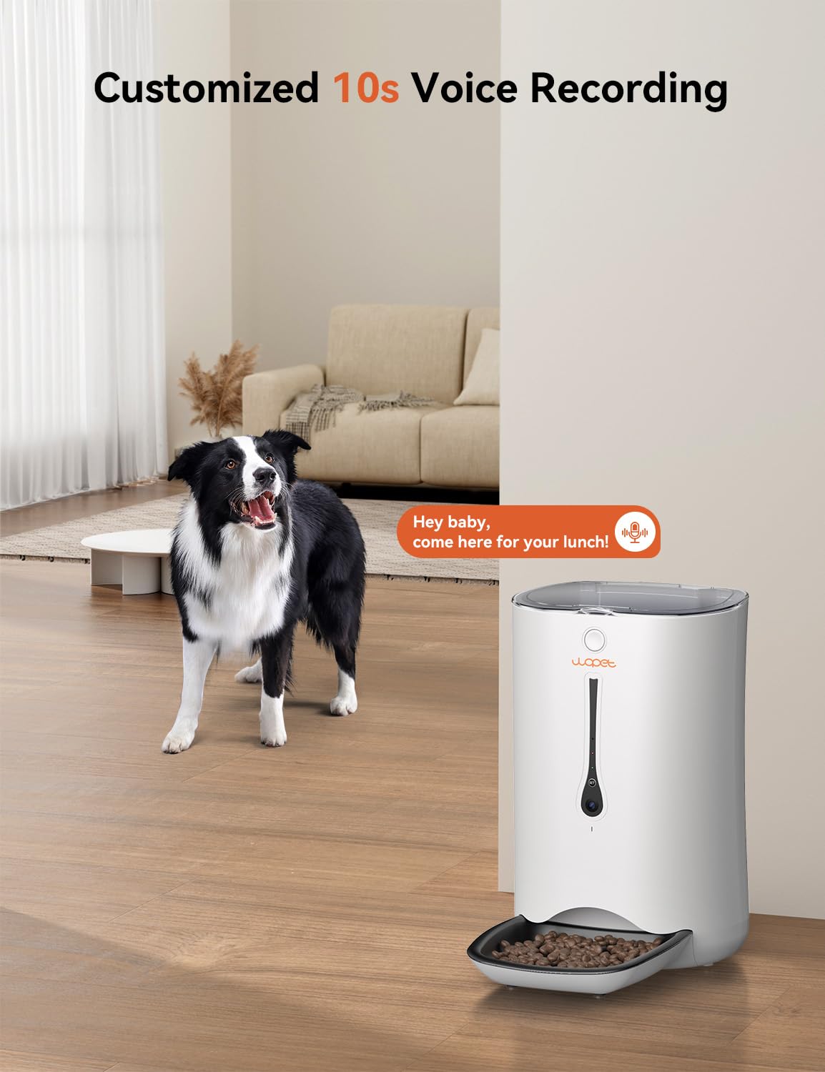 WOPET 7L Automatic Dog & Cat Feeder with HD Camera - 5G WiFi Smart Pet Food Dispenser with Timer, Voice Control & Video Recording - Perfect for Home Monitoring & Pet Care While Traveling