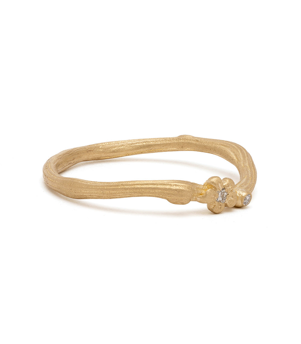 Organic Twig Nesting Band for Birds - Natural Bird Nesting Material, DIY Birdhouse Accessories - Perfect for Wild Birds, Garden & Backyard Bird Watching