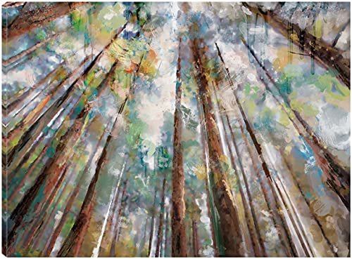 Forest Colors