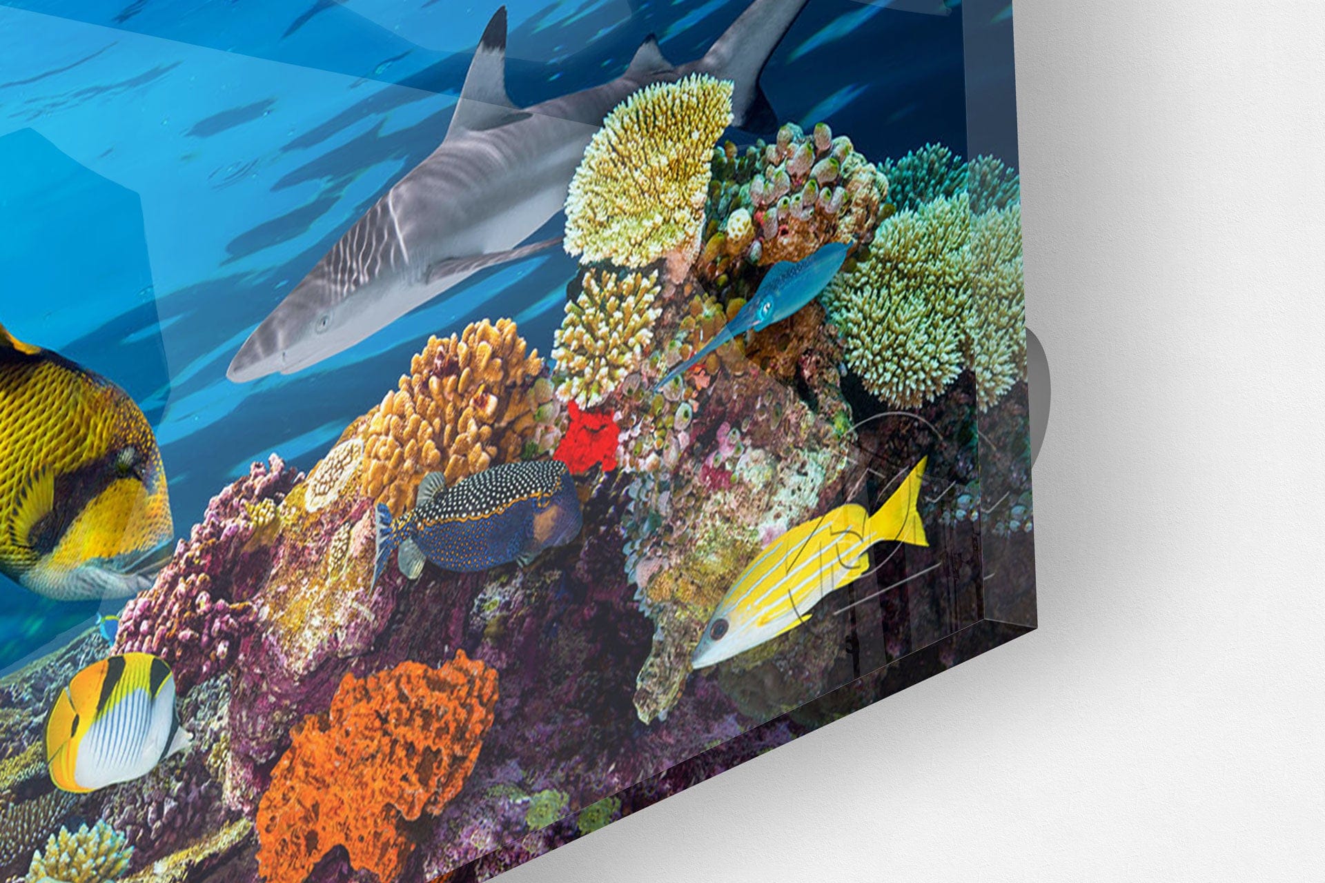 Aqua Panoramic Glass Wall Art - Modern Ocean Themed Home Decor for Living Room, Bedroom & Office - Perfect for Coastal, Beach & Nautical Interior Design Styles