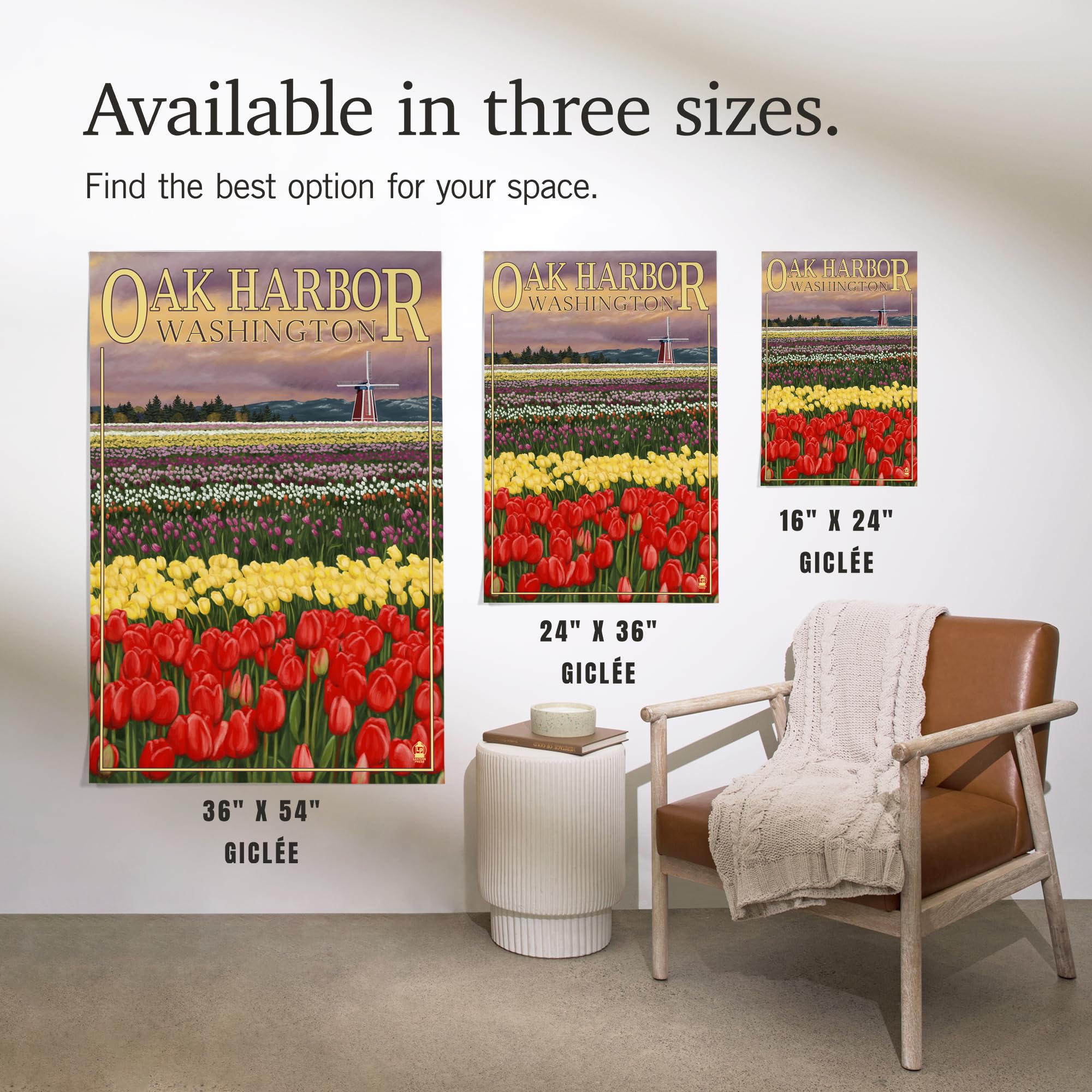 Lantern Press 16x24 Inch Giclee Print - Oak Harbor Washington Tulip Fields Wall Art - Perfect for Home Decor, Office & Living Room