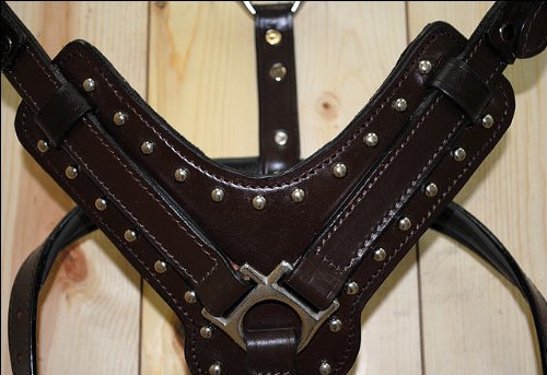 HILASON Genuine Leather Dog Harness & Leash Set - Brown Small | Adjustable & Durable for Small Dogs | Perfect for Walking, Training & Outdoor Adventures