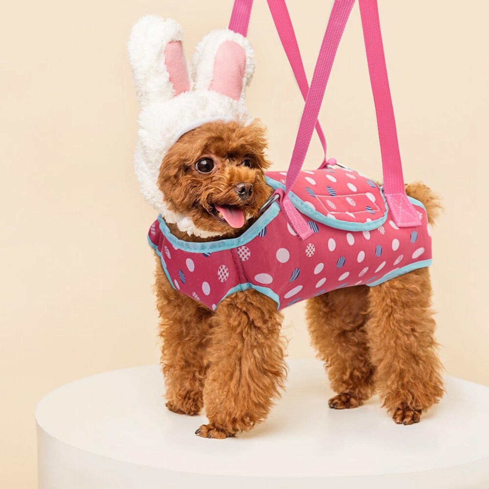 Hands Free Pet Carrier Backpack - Comfortable Dog Sling Bag for Hiking, Camping & Travel | Portable Puppy Carrier for Small to Medium Dogs | Durable Pet Supplies for Outdoor Adventures