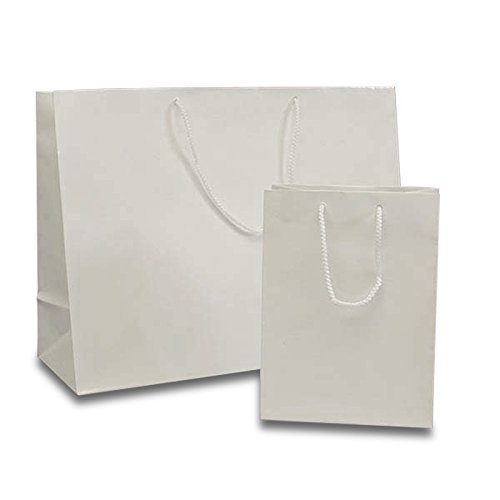 Premium White Euro Bags - 25 Pack | 16